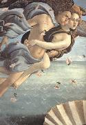 The Birth of Venus Sandro Botticelli